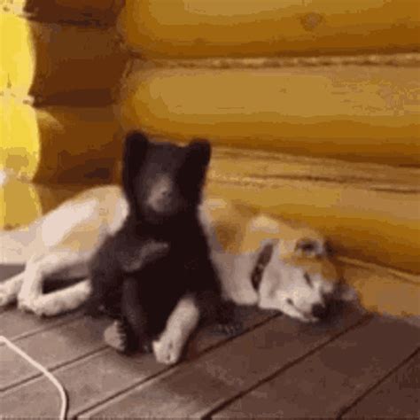 cuddle sleep gif